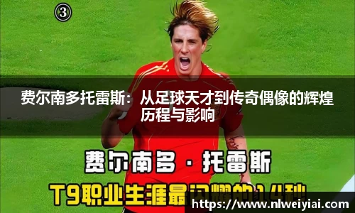 费尔南多托雷斯：从足球天才到传奇偶像的辉煌历程与影响